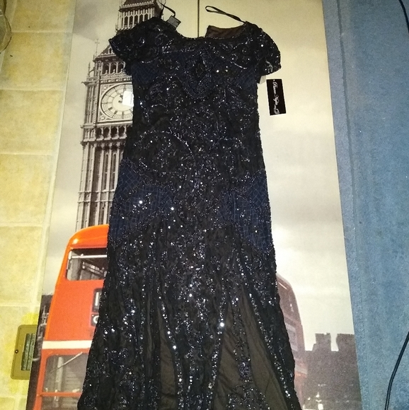 Pisarro Nights Dress - With Tags - Picture 1 of 7